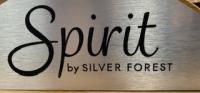 Spirit logo