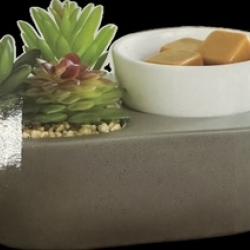 Artscents Wax Warmer - Succulent
