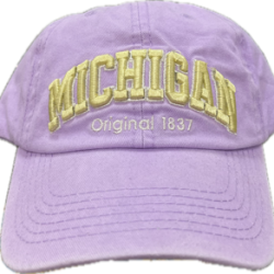 Robin Ruth Michigan Baseball Hat - Violet