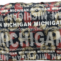 Robin Ruth Michigan Beach Tote -Antique Rose Floral