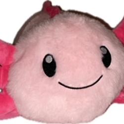 Warm Pals Pink Axolotl