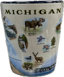 Michigan Shot Glass